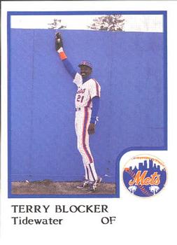 1986 ProCards Tidewater Tides (Mets Logo) #NNO Terry Blocker Front
