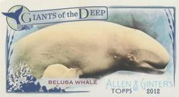 2012 Topps Allen & Ginter - Mini Giants of the Deep #GD-5 Beluga Whale Front