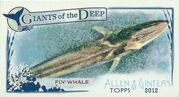 2012 Topps Allen & Ginter - Mini Giants of the Deep #GD-8 Fin Whale Front