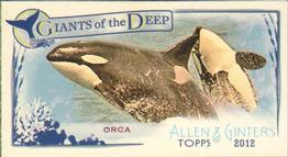 2012 Topps Allen & Ginter - Mini Giants of the Deep #GD-9 Orca Front