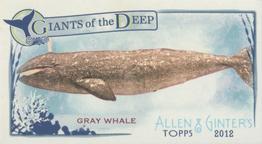 2012 Topps Allen & Ginter - Mini Giants of the Deep #GD-13 Gray Whale Front