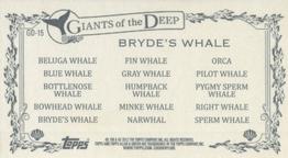 2012 Topps Allen & Ginter - Mini Giants of the Deep #GD-15 Bryde's Whale Back