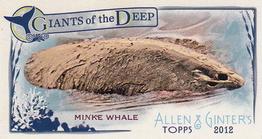 2012 Topps Allen & Ginter - Mini Giants of the Deep #GD-12 Minke Whale Front