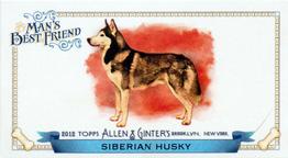 2012 Topps Allen & Ginter - Mini Man's Best Friend #MBF-1 Siberian Husky Front
