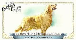 2012 Topps Allen & Ginter - Mini Man's Best Friend #MBF-3 Golden Retriever Front