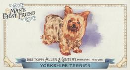 2012 Topps Allen & Ginter - Mini Man's Best Friend #MBF-7 Yorkshire Terrier Front