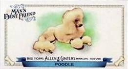 2012 Topps Allen & Ginter - Mini Man's Best Friend #MBF-10 Poodle Front
