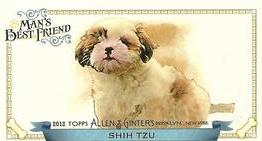 2012 Topps Allen & Ginter - Mini Man's Best Friend #MBF-12 Shih Tzu Front