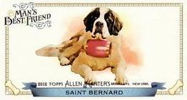 2012 Topps Allen & Ginter - Mini Man's Best Friend #MBF-16 Saint Bernard Front