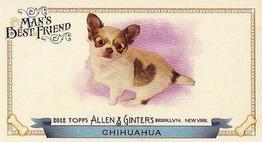 2012 Topps Allen & Ginter - Mini Man's Best Friend #MBF-11 Chihuahua Front