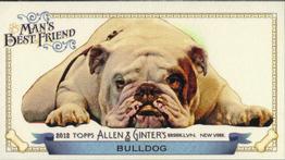 2012 Topps Allen & Ginter - Mini Man's Best Friend #MBF-17 Bulldog Front