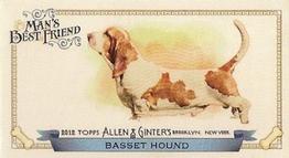 2012 Topps Allen & Ginter - Mini Man's Best Friend #MBF-19 Basset Hound Front