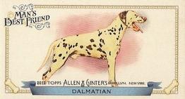 2012 Topps Allen & Ginter - Mini Man's Best Friend #MBF-2 Dalmatian Front