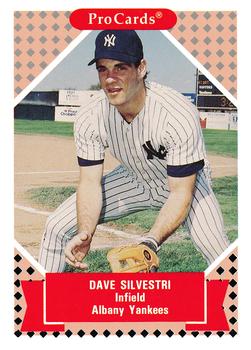 1991-92 ProCards Tomorrow's Heroes #111 Dave Silvestri Front