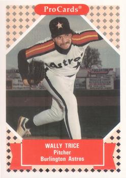 1991-92 ProCards Tomorrow's Heroes #232 Wally Trice Front