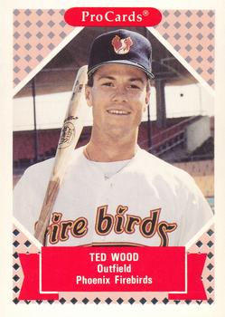 1991-92 ProCards Tomorrow's Heroes #341 Ted Wood Front