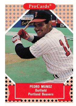 1991-92 ProCards Tomorrow's Heroes #91 Pedro Munoz Front