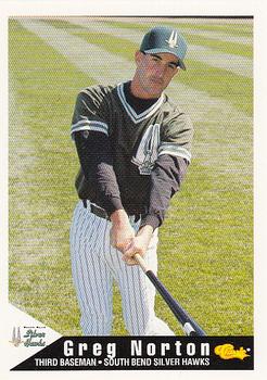 1994 Classic Best South Bend Silver Hawks #15 Greg Norton Front