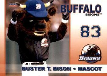 2015 Buffalo Bisons Buster T Bison Mascot