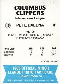 1985 TCMA Columbus Clippers #15 Pete Dalena Back