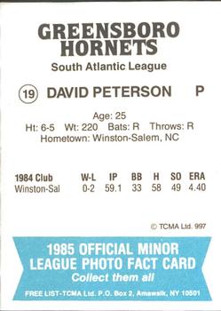 1985 TCMA Greensboro Hornets #19 David Peterson Back