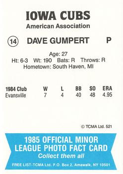 1985 TCMA Iowa Cubs #14 Dave Gumpert Back