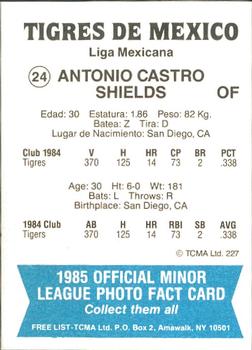1985 TCMA Mexico City Tigers #24 Antonio Castro Back