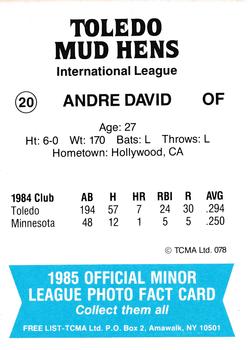 1985 TCMA Toledo Mud Hens #20 Andre David Back