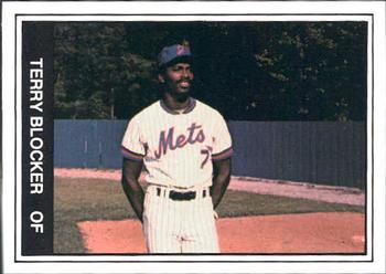 1982 TCMA Jackson Mets #20 Terry Blocker Front