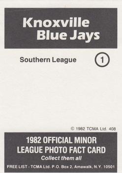 1982 TCMA Knoxville Blue Jays #1 Team Photo Back