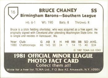 1981 TCMA Birmingham Barons #16 Bruce Chaney Back