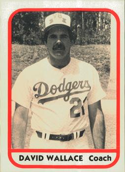 1981 TCMA Vero Beach Dodgers #25 David Wallace Front