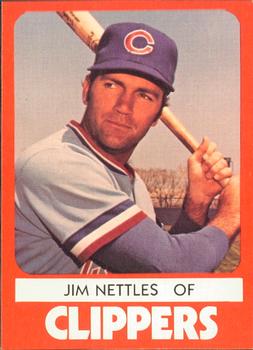 1980 TCMA Columbus Clippers #12 Jim Nettles Front