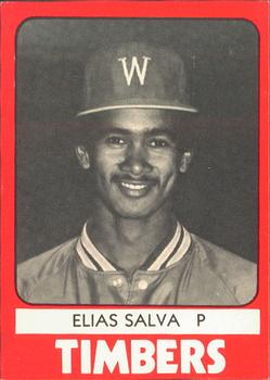 1980 TCMA Wausau Timbers #8 Elias Salva Front