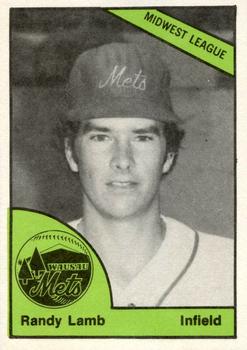 1978 TCMA Wausau Mets #0377 Randy Lamb Front