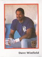 1990 Publications International Trivia Stickers #NNO Dave Winfield Front