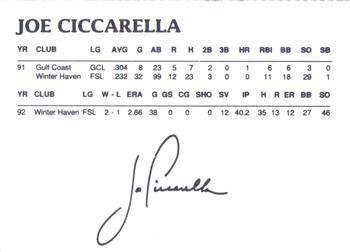 1993 Dunkin' Donuts Pawtucket Red Sox #NNO Joe Ciccarella Back