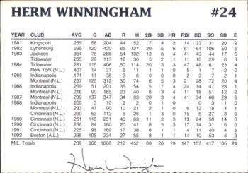 1993 Dunkin' Donuts Pawtucket Red Sox #NNO Herm Winningham Back