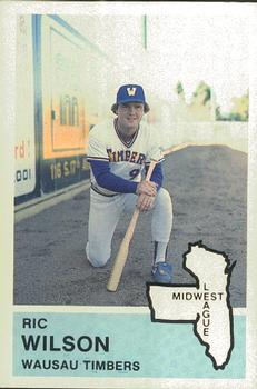 1982 Fritsch Wausau Timbers #27 Ric Wilson Front