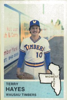 1982 Fritsch Wausau Timbers #29 Terry Hayes Front