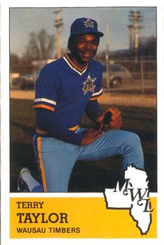 1983 Fritsch Wausau Timbers #9 Terry Taylor Front