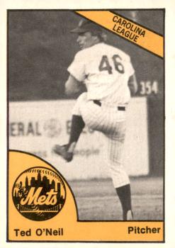 1977 TCMA Lynchburg Mets #0360 Ted O'Neill Front