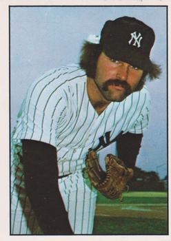 1975 SSPC New York Yankees #23 Dick Tidrow Front
