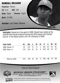 2010 Choice Carolina League Top Prospect 30 #6 Randall Delgado Back