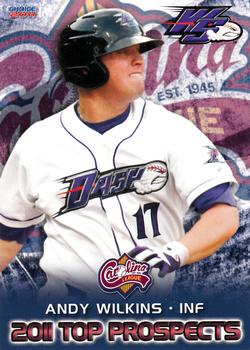 2011 Choice Carolina League Top Prospect 30 #21 Andy Wilkins Front