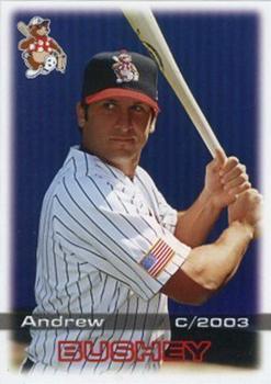 2003 Grandstand Asheville Tourists #NNO Andrew Bushey Front