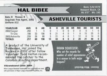 2004 Grandstand Asheville Tourists #NNO Hal Bibee Back