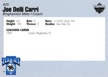 1995 Binghamton Mets #NNO Joe Delli Carri Back