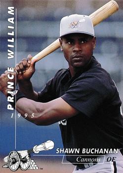 1995 Multi-Ad Prince William Cannons #5 Shawn Buchanan Front