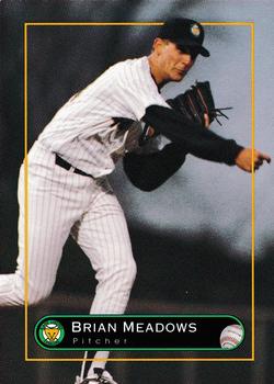 1995 Kane County Cougars #NNO Brian Meadows Front